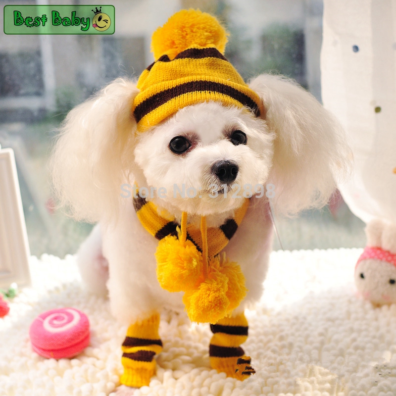 Kış Pet Köpek Aksesuarları Köp - Baby Products Best incelemesi ve fiyatı